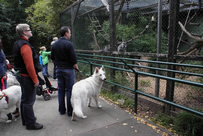 Merlin interessiert das &uuml;berhabt nicht